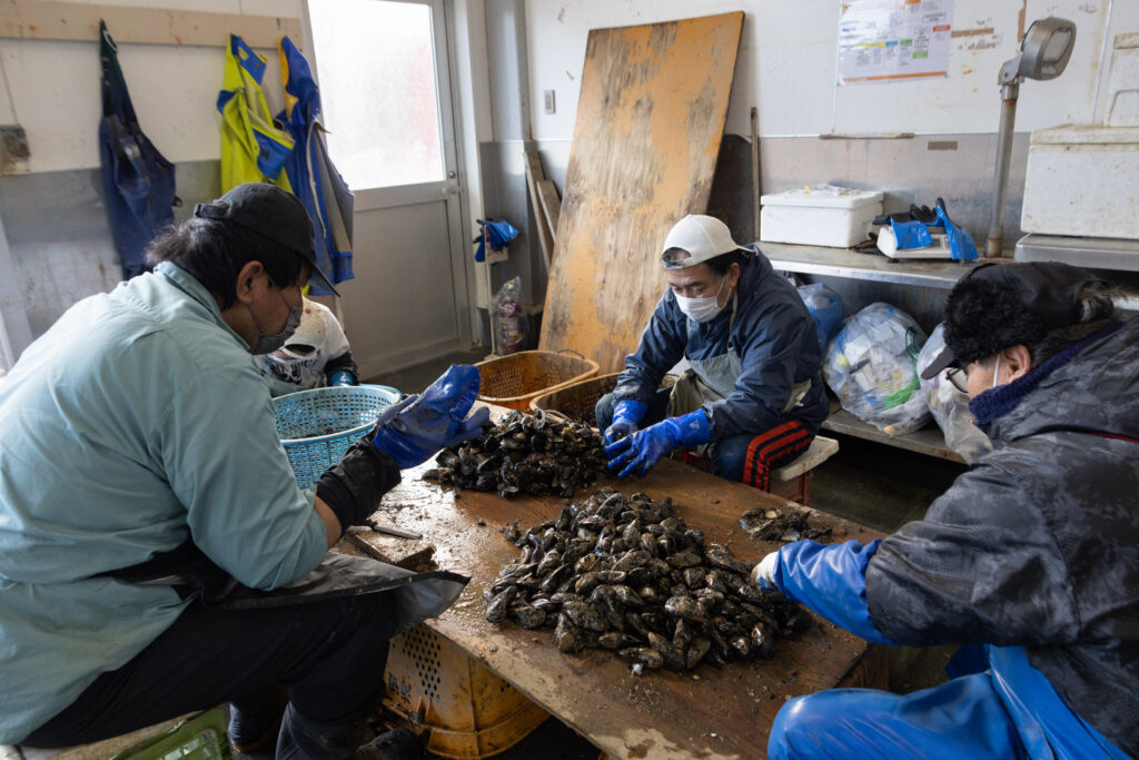 Four people sorting shellfish in a working environment, wearing gloves and masks, with baskets and tools around them.